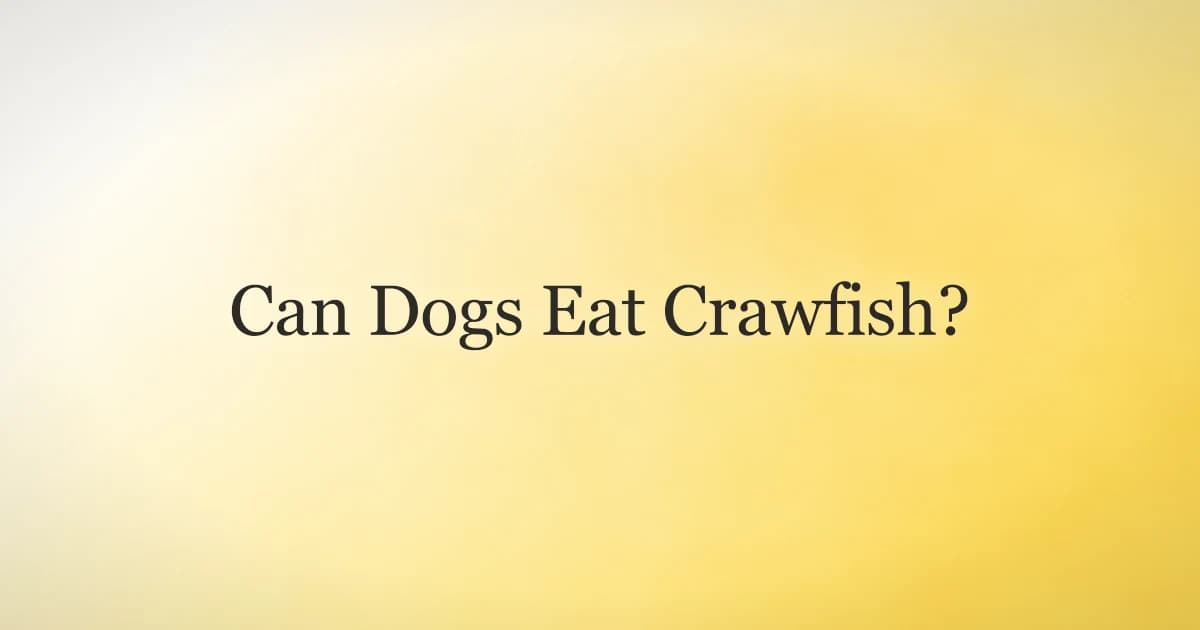 Can dogs eat crawfish? A guide to safely sharing plain cooked crawfish with dogs