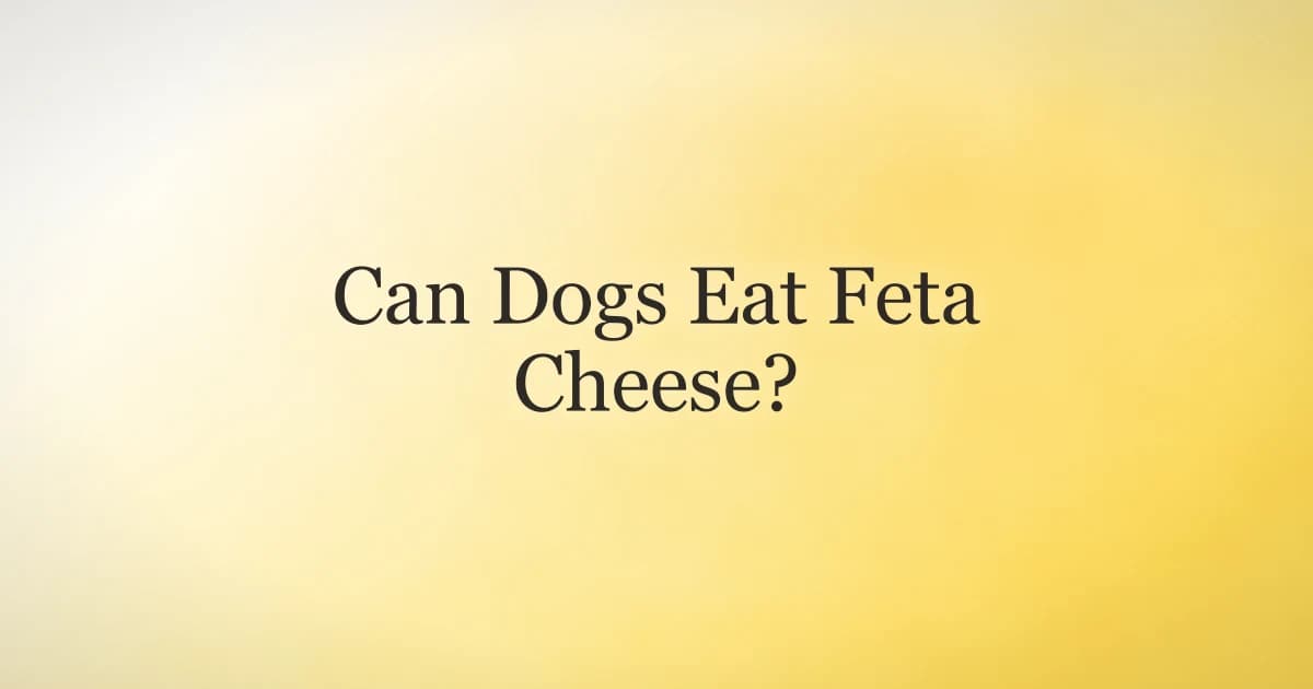 A block of feta cheese on a cutting board with a curious dog nearby