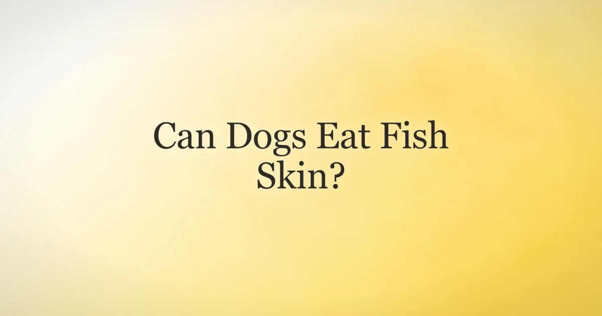 A dog sniffing a small piece of cooked fish skin on a plate