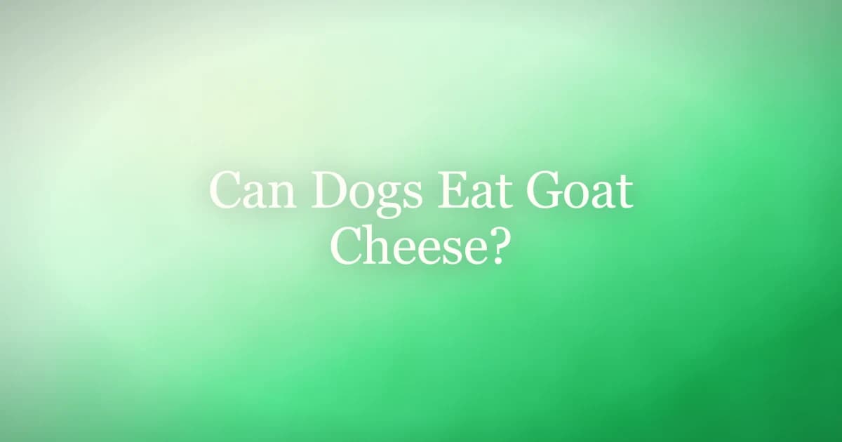 A log of plain goat cheese on a plate with a dog watching nearby