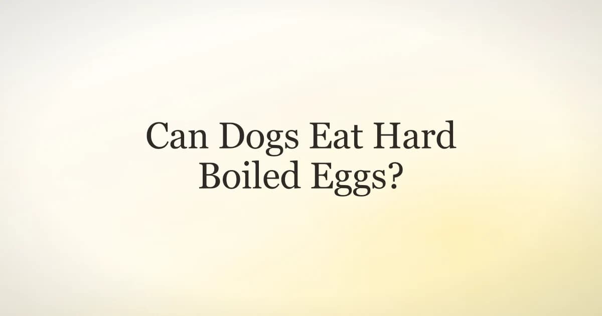 A peeled hard boiled egg chopped into pieces beside a dog, showing how to safely feed hard boiled eggs to dogs