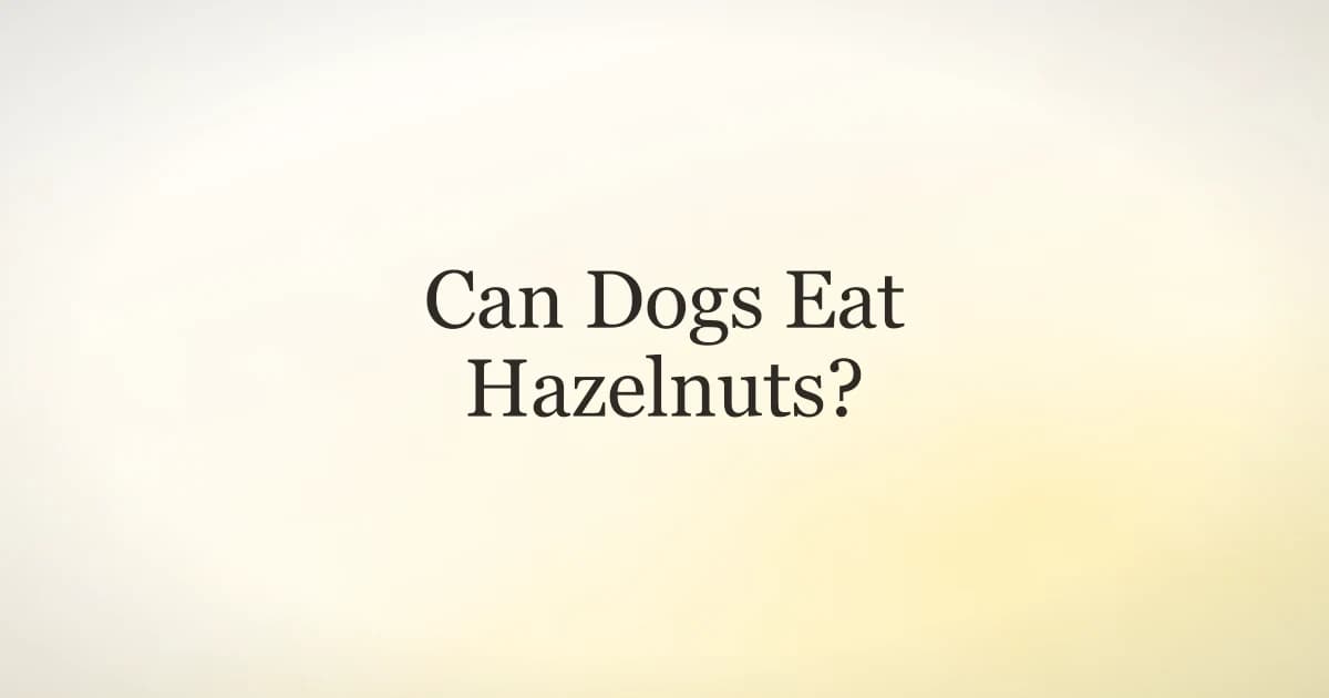 Whole and shelled hazelnuts on a wooden surface next to a dog bowl, illustrating hazelnut safety for dogs