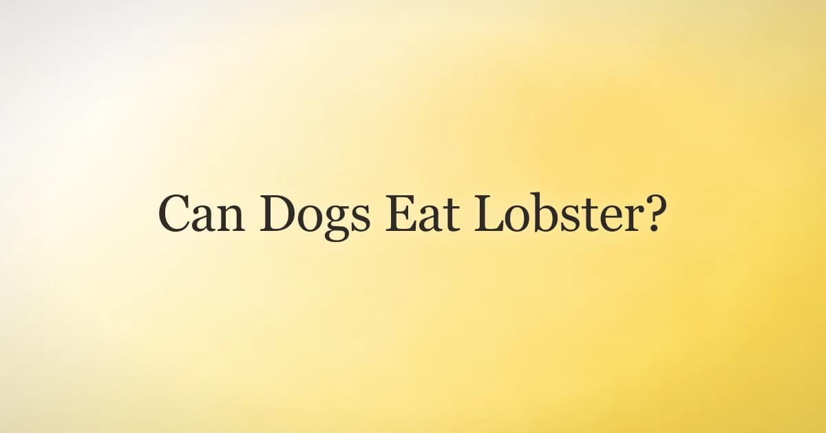 Dog looking curiously at a cooked lobster on a table