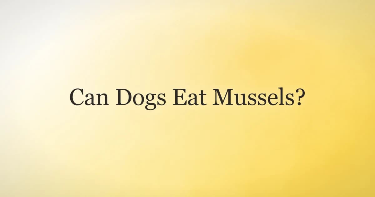 A bowl of cooked mussels beside an attentive dog, illustrating whether dogs can safely eat mussels