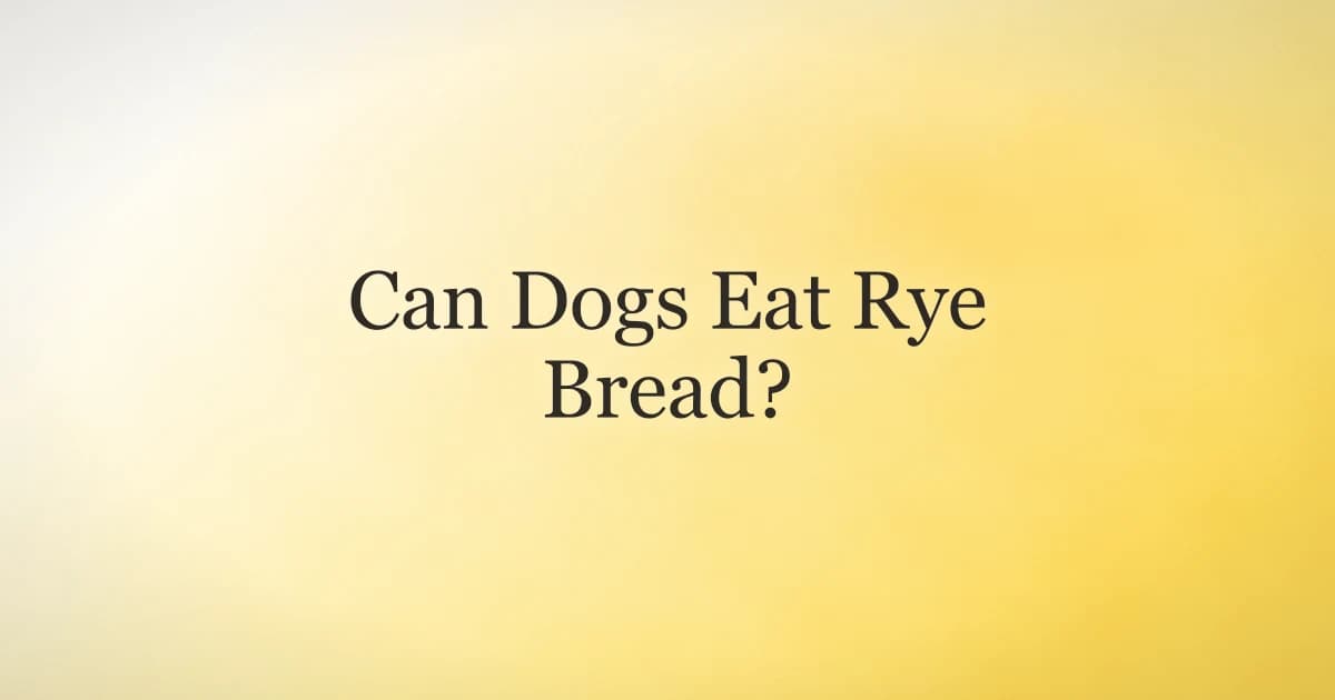 A slice of plain rye bread next to a curious dog, illustrating whether dogs can eat rye bread