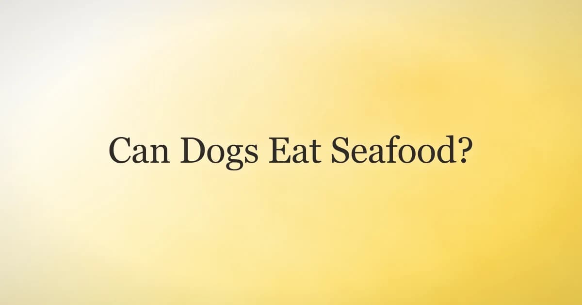 A dog looking up at a plate of plain cooked fish and shrimp on a kitchen counter