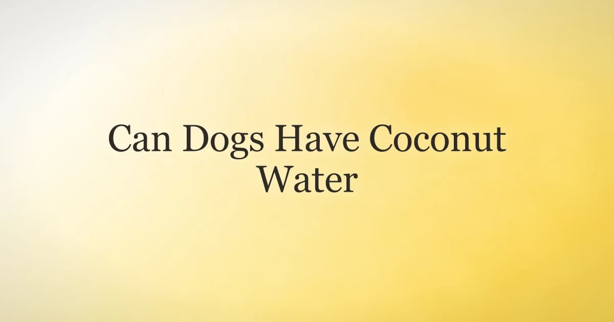 Dog next to a fresh coconut and bowl of coconut water