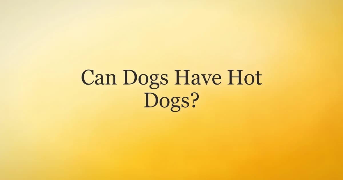 A dog looking hopefully at a hot dog at a backyard cookout