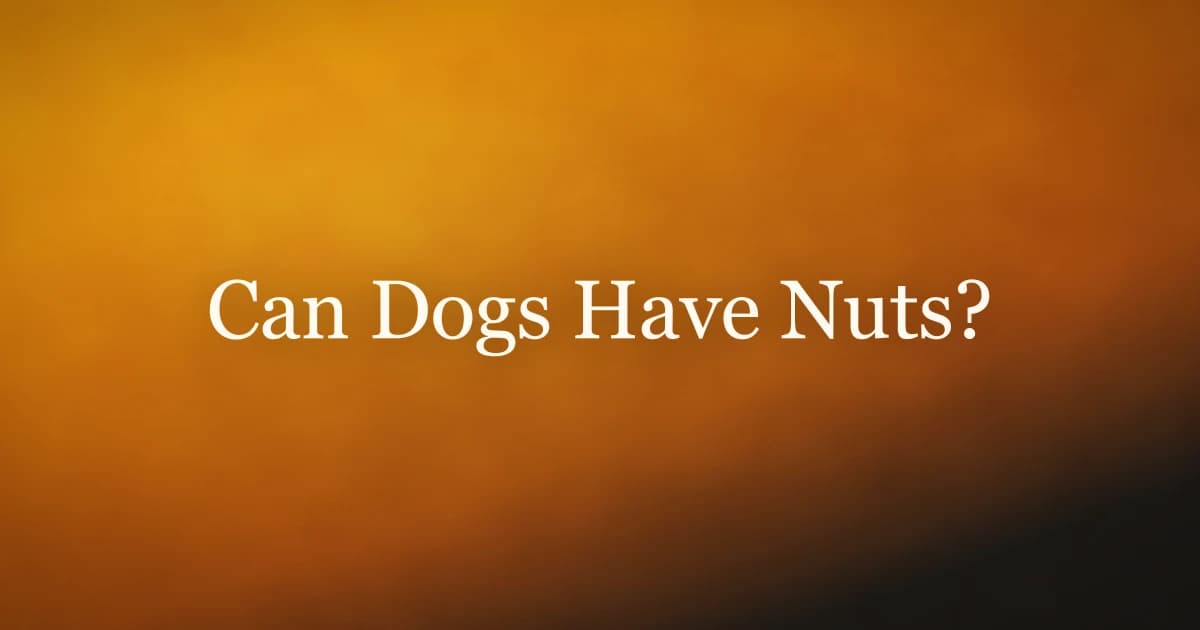 A bowl of assorted nuts with a curious dog nearby, illustrating which nuts are safe for dogs