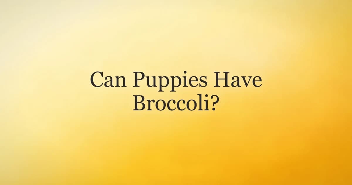 Curious puppy sniffing a small floret of steamed broccoli on a kitchen floor