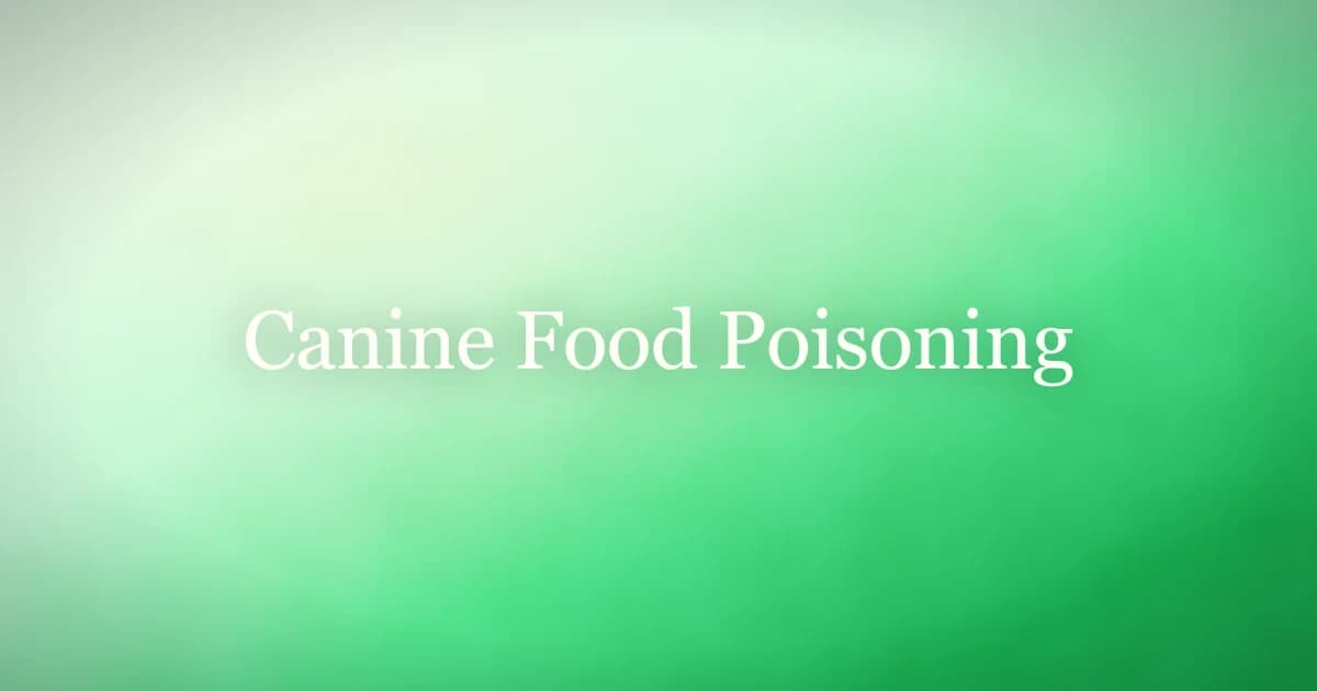 Canine food poisoning — signs to watch for, common causes and when to call the vet