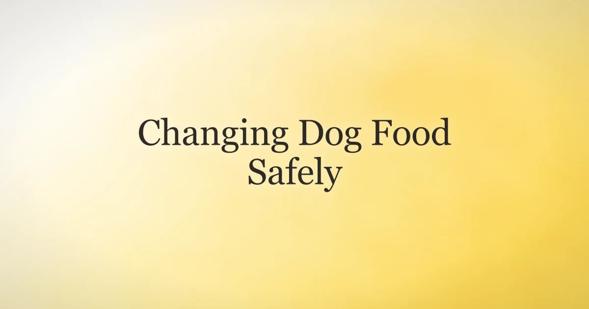 Changing dog food safely with a gradual day-by-day mixing schedule