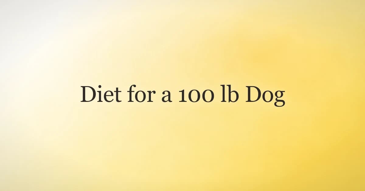 Diet for a 100 lb dog showing daily calories, cups of food, and meal portions