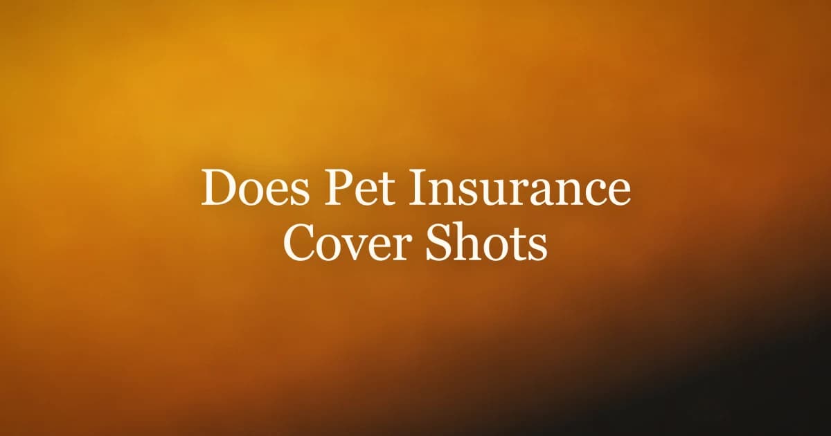 A dog at a veterinary clinic receiving a routine vaccination while the owner reviews paperwork