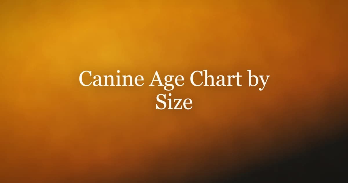 Canine age chart comparing dog years to human years for small, medium, and large dogs