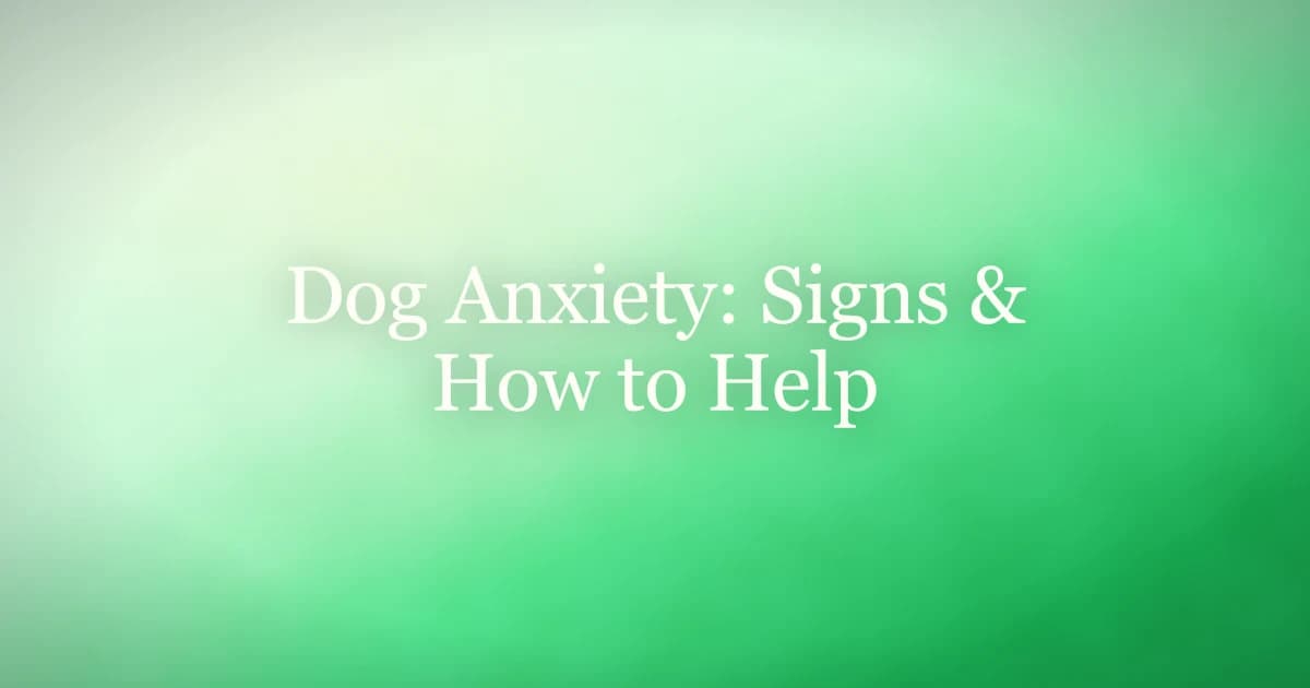 An anxious dog resting its head down with worried eyes, looking to its owner for comfort