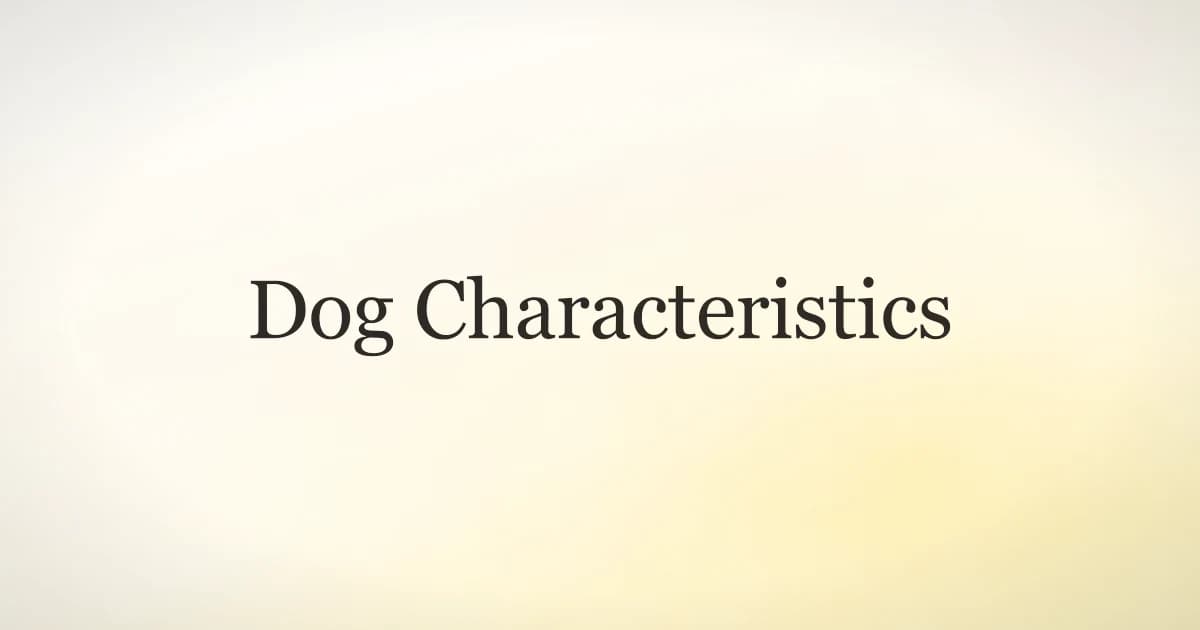 Dog characteristics including senses, body language, and social behavior