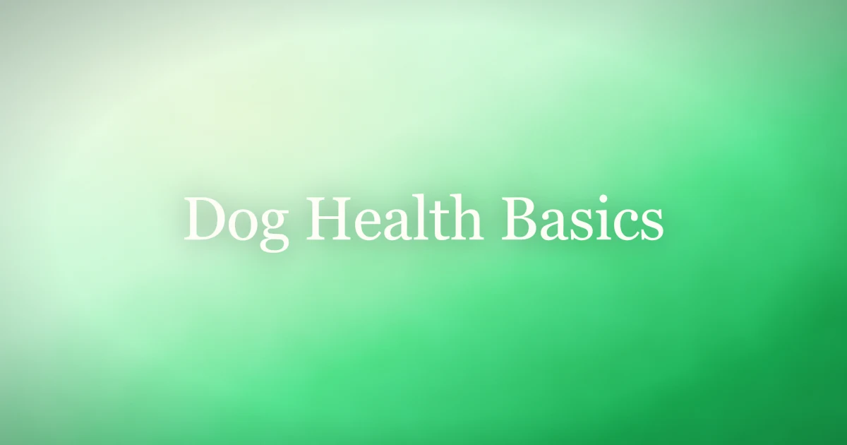 Healthy happy dog representing the basics of dog health and daily care