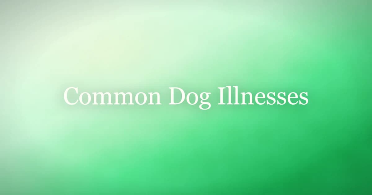A resting dog being checked by its owner for signs of common dog illnesses