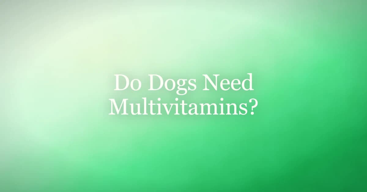 A dog multivitamin bottle and chews next to a bowl of kibble on a counter