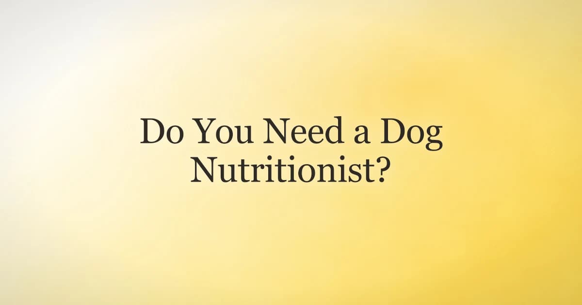 A person preparing fresh food for a dog in a kitchen