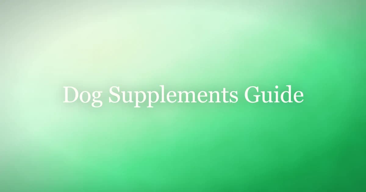 Dog supplement capsules and chews on a table next to a dog bowl