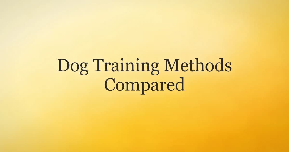 A dog sitting and looking up at its owner during a reward-based training session
