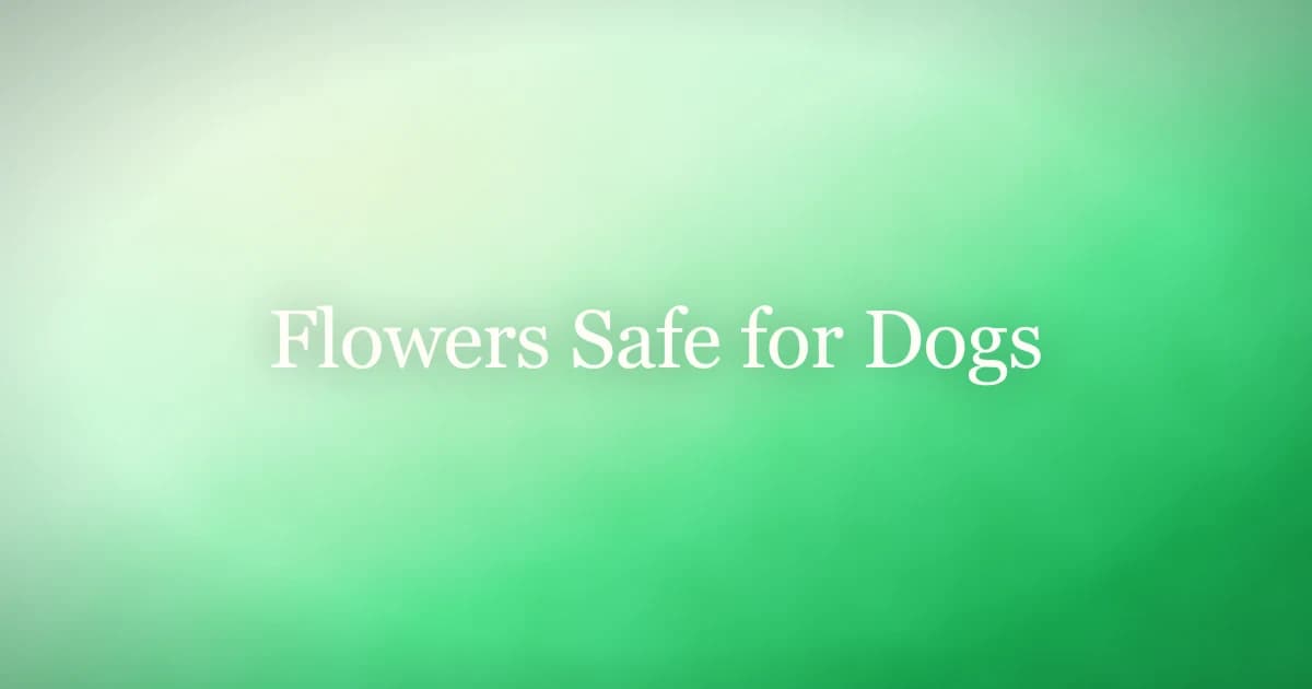 A dog sniffing a bed of sunflowers and zinnias in a sunny backyard garden
