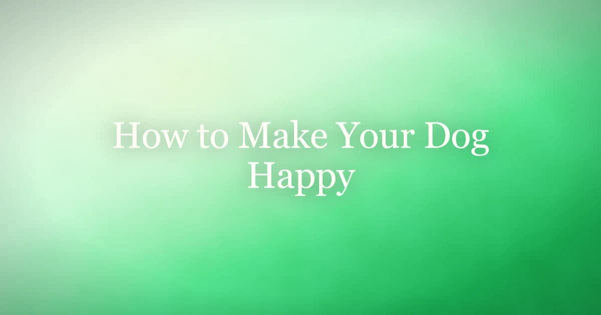 How to make your dog happy with play, sniff walks, and time together