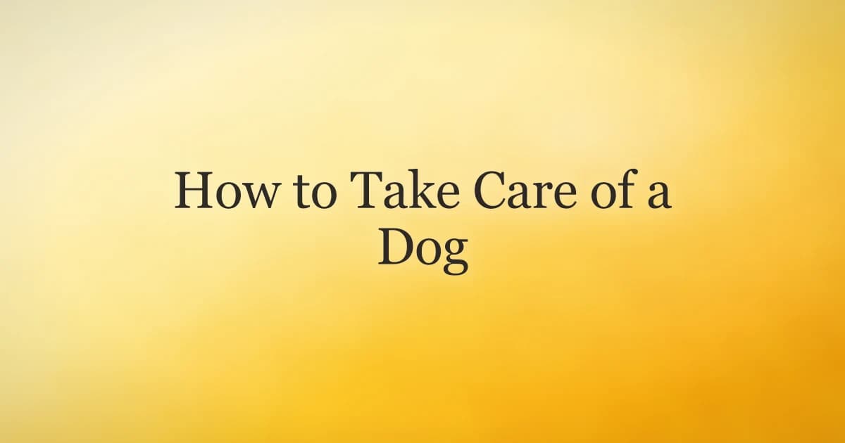 A happy owner kneeling beside a healthy dog with a leash, food bowl, and toys nearby