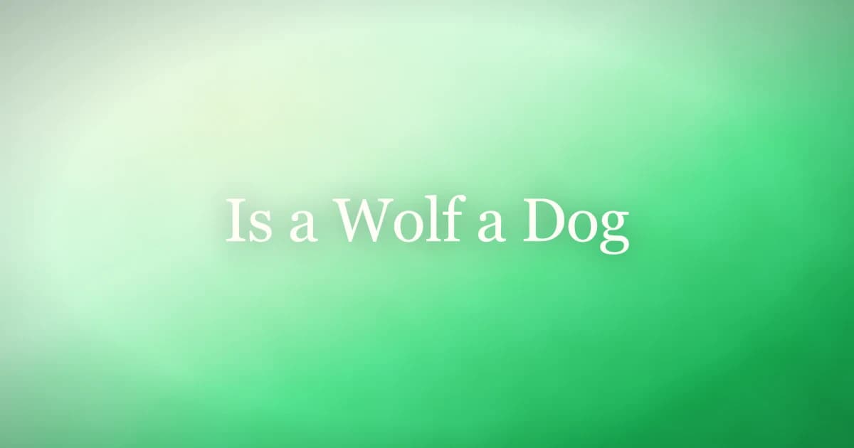Gray wolf and a domestic dog side by side showing physical differences