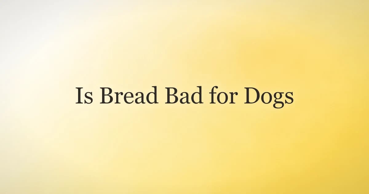 A sliced loaf of plain bread on a kitchen counter with a dog looking on