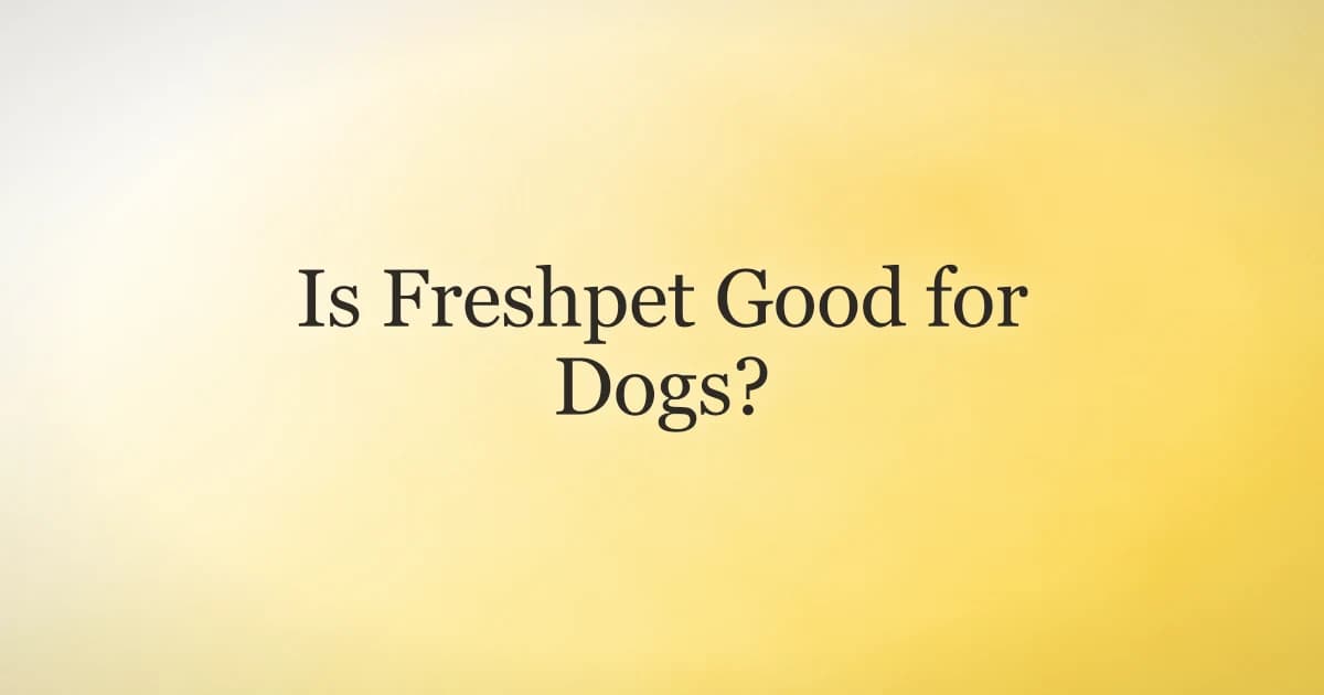 Bowl of fresh refrigerated dog food next to a happy dog