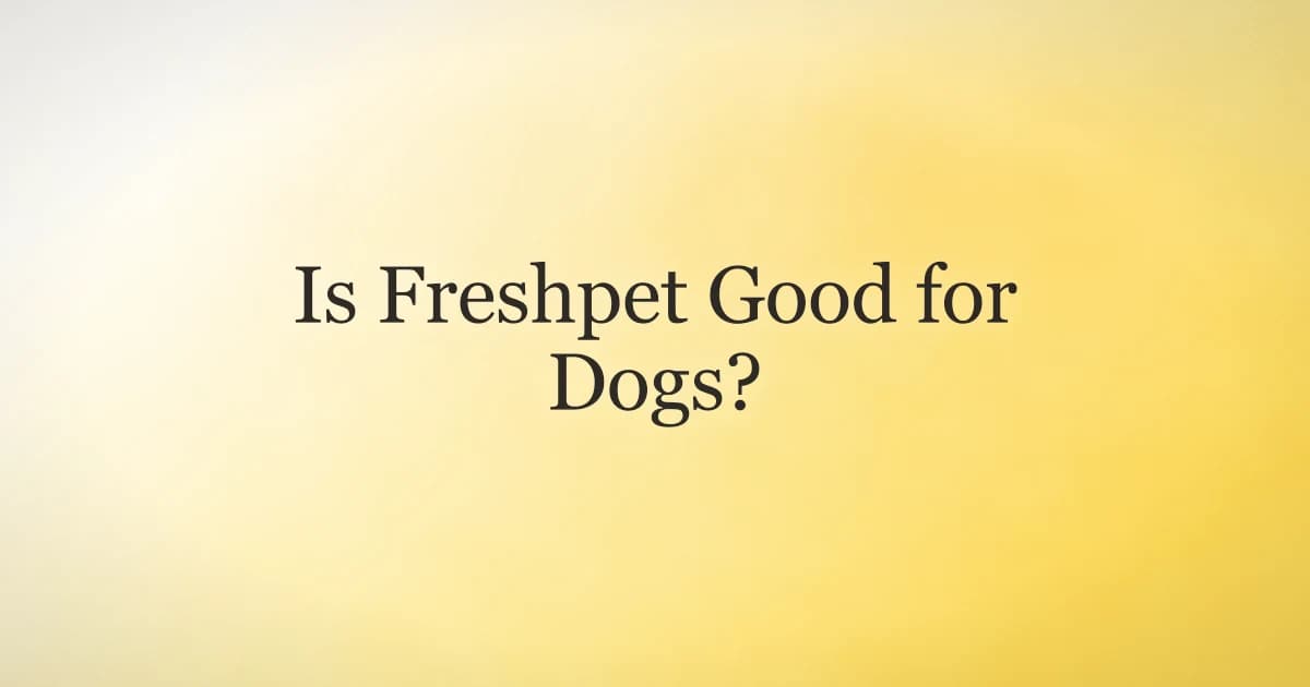 Fresh refrigerated dog food being served in a bowl next to a happy dog