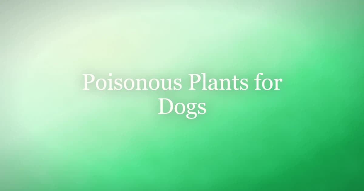 Dog in a garden surrounded by houseplants