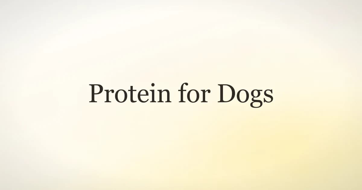 A dog food bag guaranteed analysis panel showing crude protein percentage next to a bowl of kibble