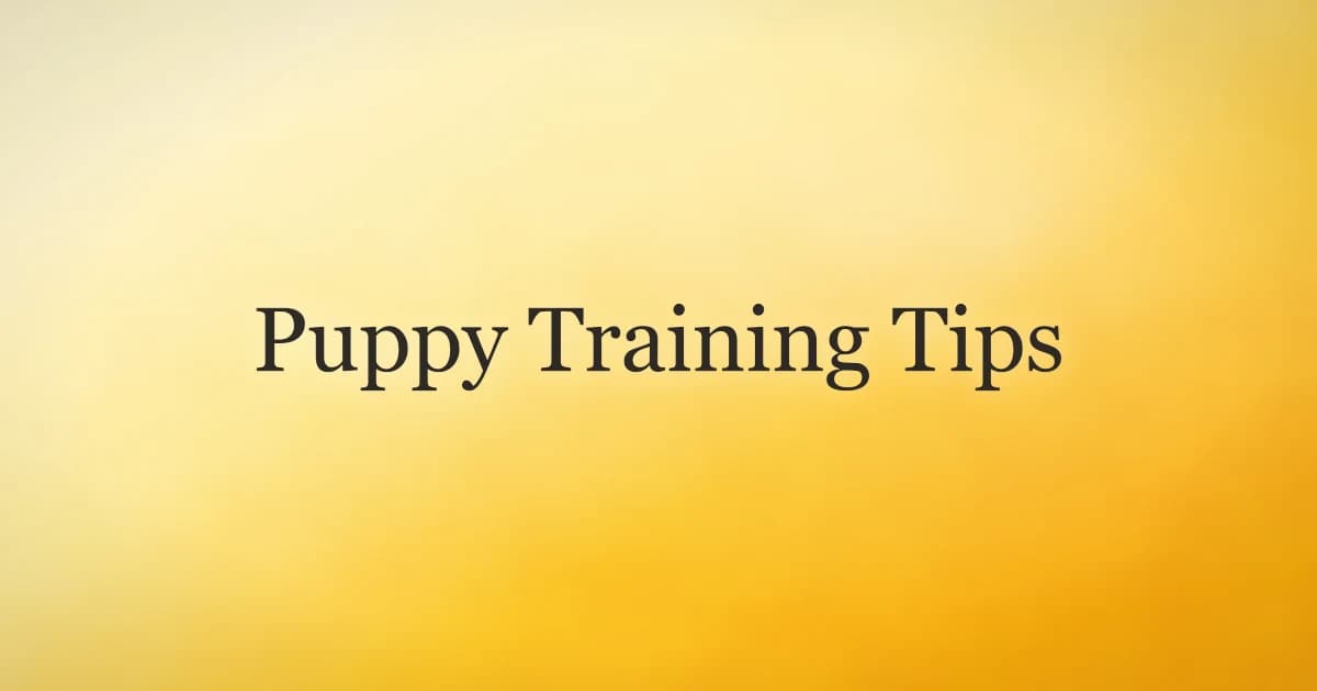 A young puppy sitting on a living room floor looking up at its owner during a short training session