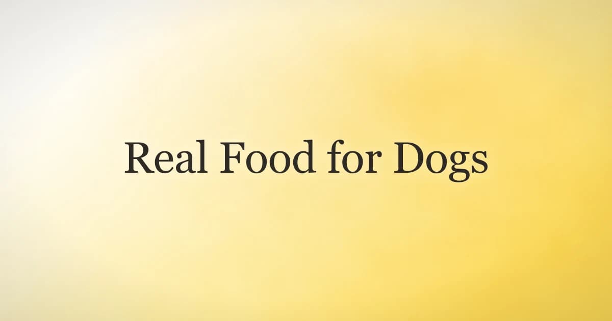 Bowl of real whole-food ingredients for dogs including lean meat and vegetables