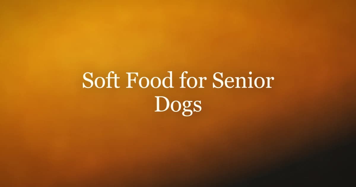 An older dog eating soft food from a bowl