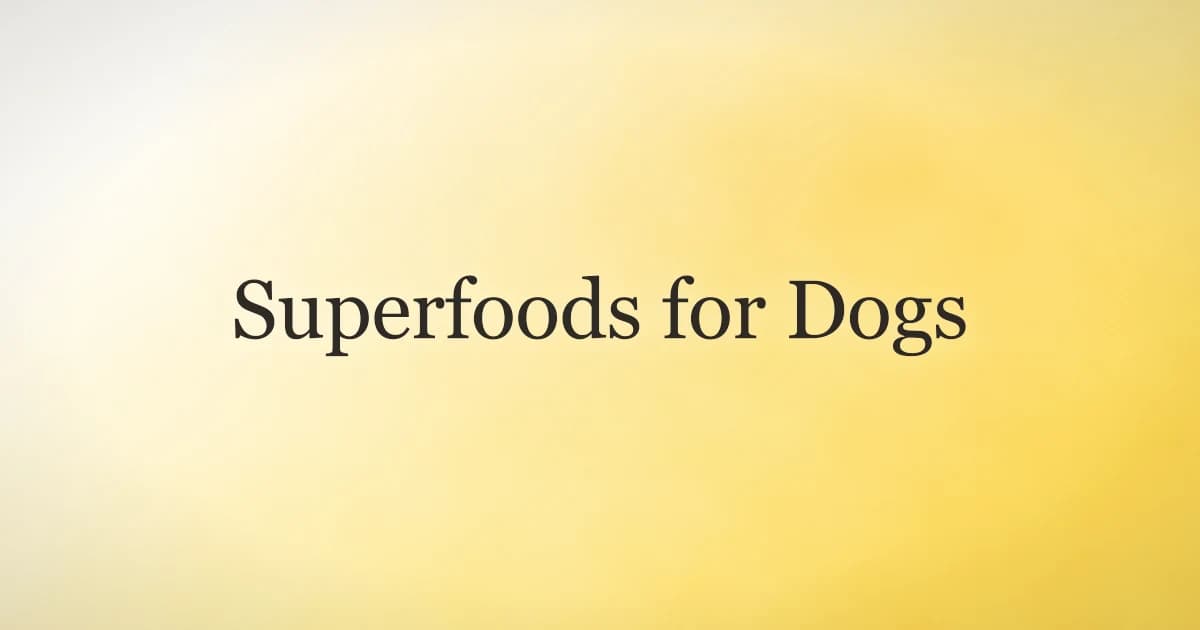 Bowl of dog food topped with blueberries, pumpkin, and fresh vegetables