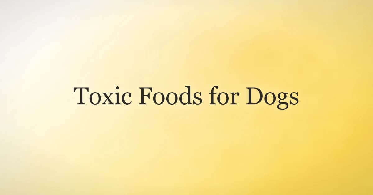 A dog looking up at human food on a kitchen counter, illustrating foods that are toxic to dogs