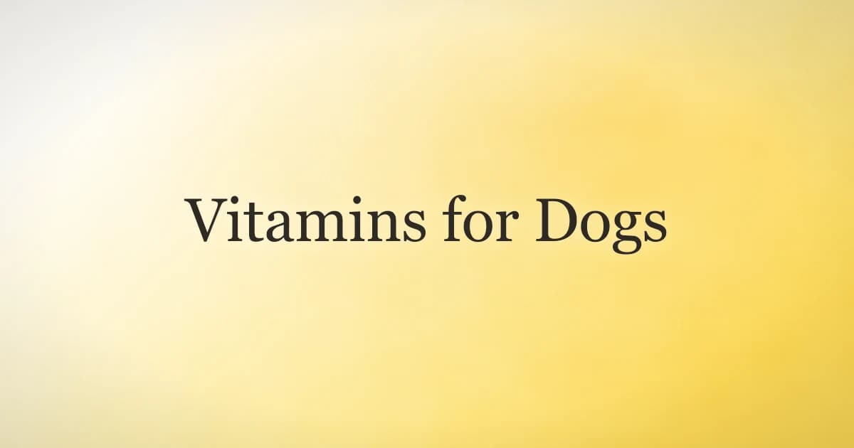 A healthy dog beside a bowl of balanced food and fresh vegetables on a kitchen floor