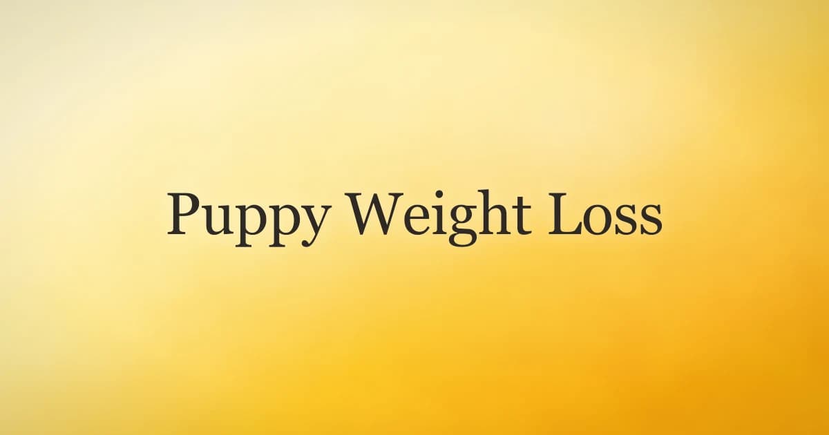 Young puppy being weighed on a scale during a health check