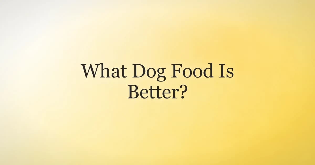 Comparison of dry kibble, wet, fresh, and raw dog food to decide which is better