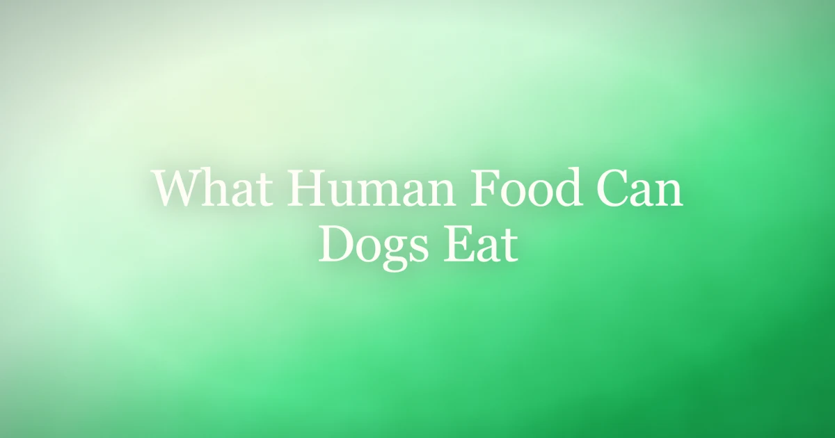 Dog looking at a plate of dog-safe human foods like carrots and apple slices
