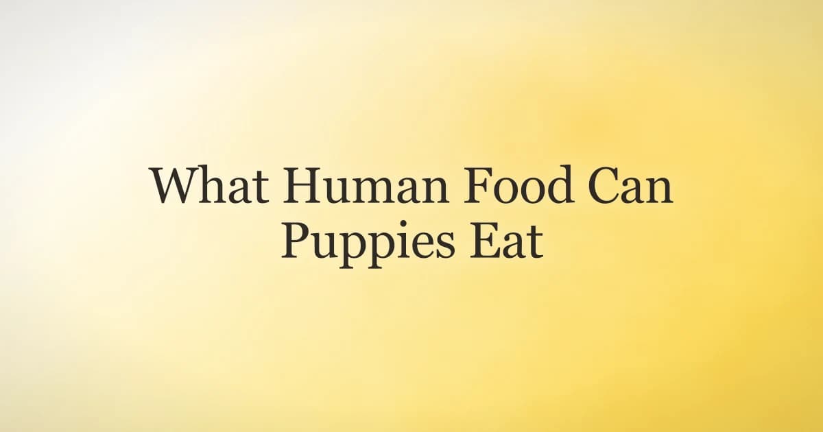 A young puppy looking up at a small plate of plain cooked chicken and carrot pieces in a kitchen
