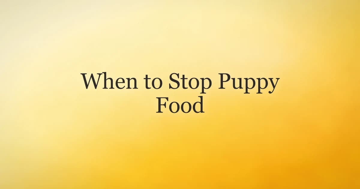 Young dog next to a bowl of kibble, illustrating when to switch from puppy food to adult dog food