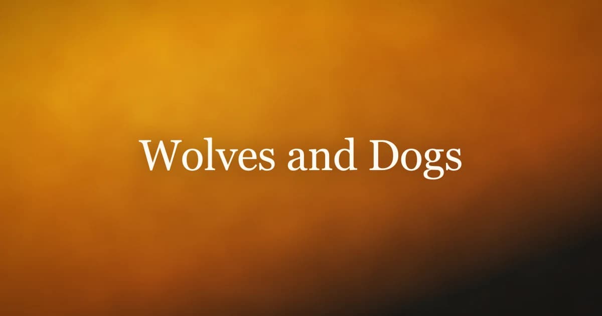A gray wolf and a domestic dog side by side in profile